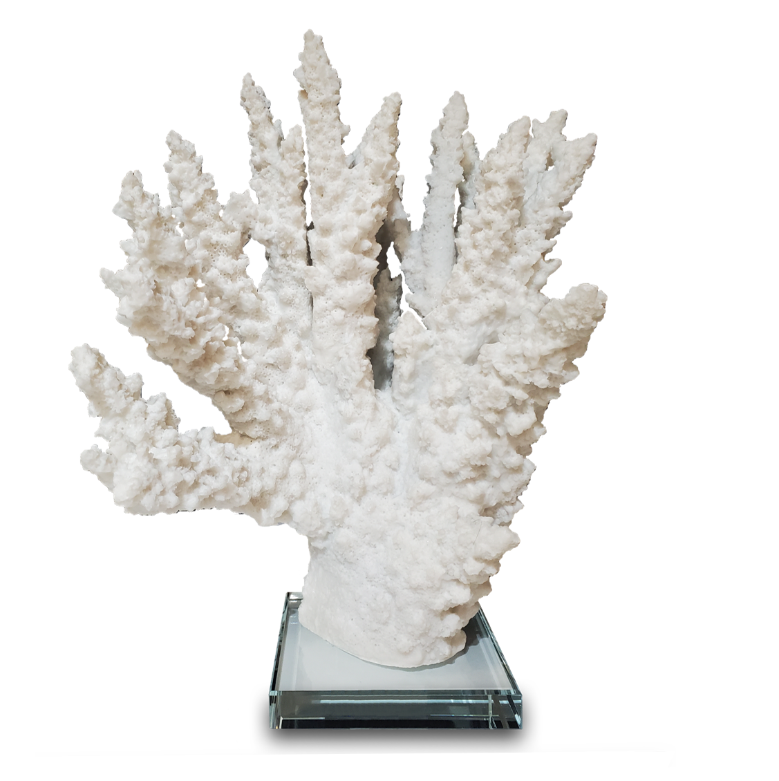 Coral Sculpture